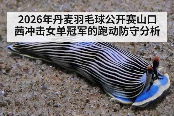 2026年丹麦羽毛球公开赛山口茜冲击女单冠军的跑动防守分析